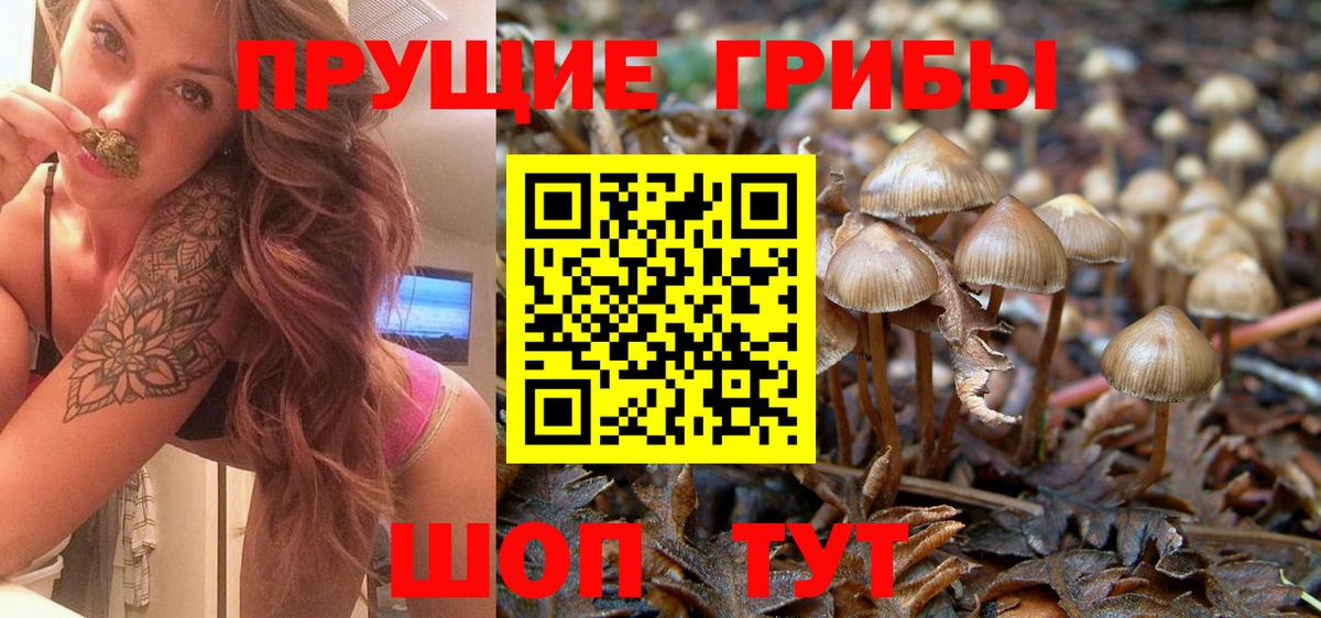 Галлюциногенные грибы Magic Shrooms  Псилоцибиновые грибы Psilocybe  Назрань  Вход с VPN 