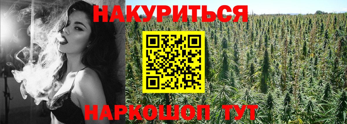 Бошки Шишки планчик Назрань